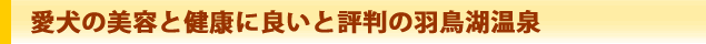 愛犬と一緒に楽しめる施設・サービス