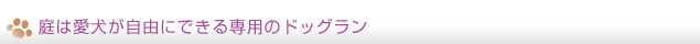 庭は愛犬が自由にできる専用のドッグラン