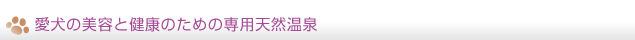 愛犬の美容と健康のための専用天然温泉