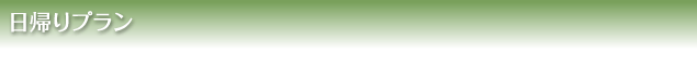 日帰りプラン