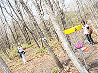 ディスクゴルフ写真2