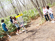 ディスクゴルフ写真3