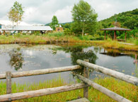 湿地園写真1