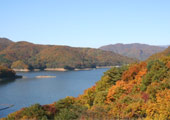 羽鳥湖紅葉写真1