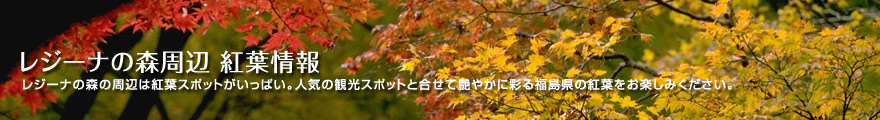 レジーナの森周辺紅葉情報