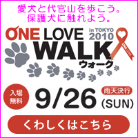 ONE LOVE WALK