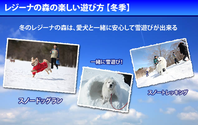 レジーナの森を愛犬と楽しむ【冬季】