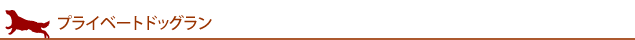 プライベートドッグラン