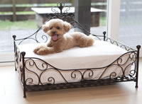 いぬのきもちコテージ