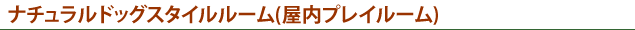 室内プレイルーム