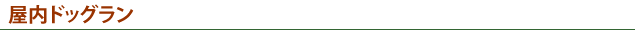 屋内ドッグラン