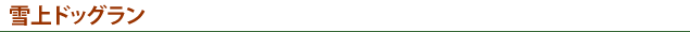 雪上ドッグラン（冬季限定）