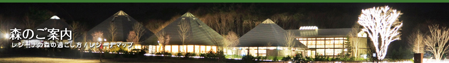 森のご案内