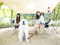 コールマンキャンプグラウンド写真3