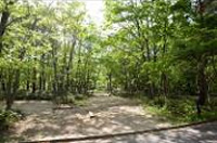 コールマンキャンプグラウンド写真