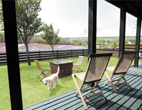 プライベートドッグラン写真