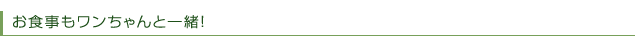 お食事もワンちゃんと一緒！