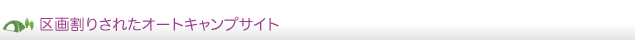 区画割りされたオートキャンプサイト
