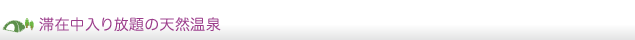 滞在中入り放題の天然温泉