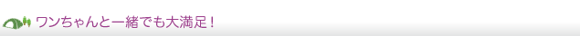 ワンちゃんと一緒でも大満足！