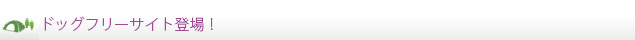ドッグフリーサイト登場！