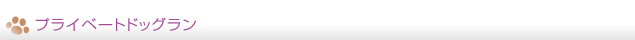 プライベートドッグラン