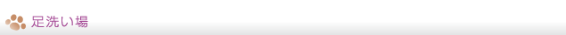 足洗い場