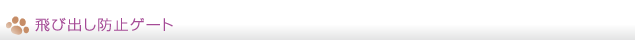 飛び出し防止ゲート