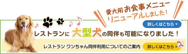 レストランに大型犬の同伴も可能になりました！