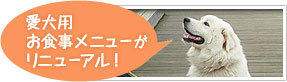 愛犬用お食事メニューがリニューアル！