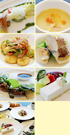 洋食 プレミアムコース