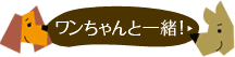 ワンちゃんと一緒！