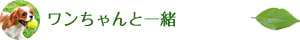 ワンちゃんと一緒