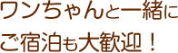 ワンちゃんと一緒にご宿泊も大歓迎！
