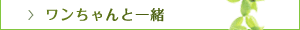 ワンちゃんと一緒