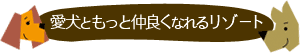 愛犬ともっと仲良くなれるリゾート