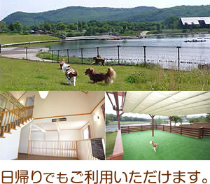 愛犬と泊まる　日帰りでもご利用いただけます。