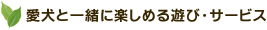 愛犬と一緒に楽しめる遊び・サービス