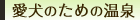 愛犬と遊ぶ