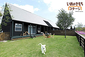 いぬのきもち　コテージ