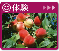 体験