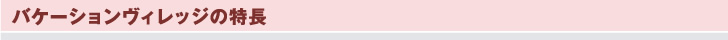 バケーションヴィレッジの特徴